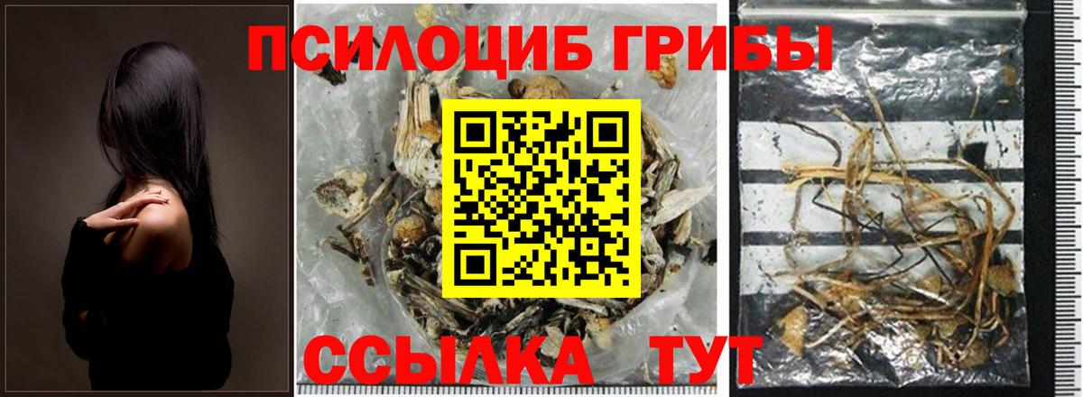 Северск  Псилоцибиновые грибы прущие грибы  Вход с VPN 
