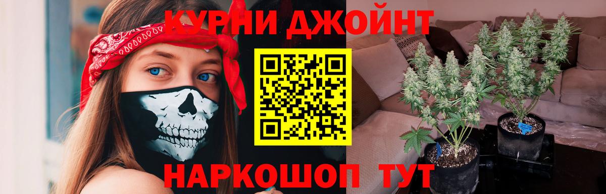 Бошки Шишки AK-47 Северск
